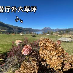 千山继·坨坨小馆·传统云南菜 User Photo