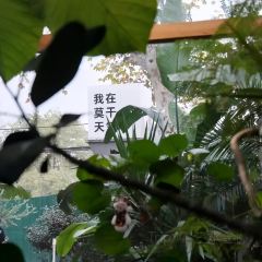 荒室·WildHouse·萬綠莫干山張用戶圖片