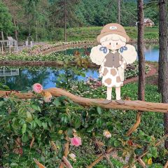 听花谷餐厅 User Photo