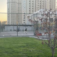 Wuhouyangguang User Photo