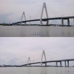 Pier Dad tea 여행 사진