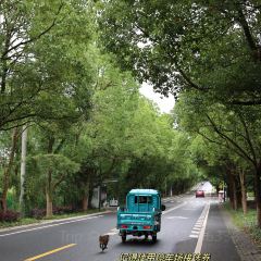 XIANG SHAN FAN DIAN User Photo