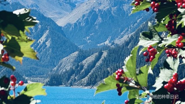 tian shan tian chi qu jian che