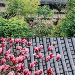 贤花特色馄饨 User Photo