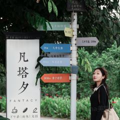 凡塔夕 User Photo
