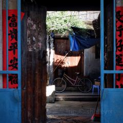 贼婆面(九湾店) User Photo