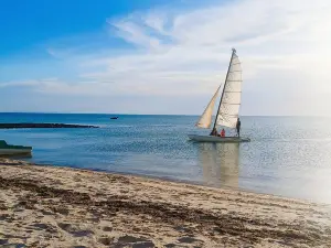 Plage de Sidi Mahrez