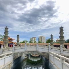 椰香饺子店 User Photo