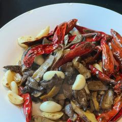 Southern Barbarian User Photo