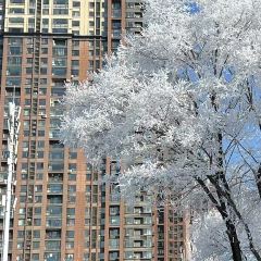 金秋鱼餐馆 User Photo