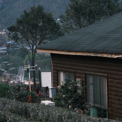 来去茶山上咖啡馆 User Photo