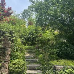 Ahnluh Guantang · All-Day Restaurant User Photo