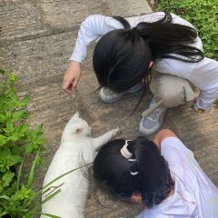 福州望江园 User Photo