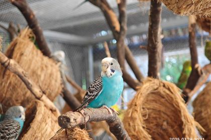 煲煲掂风味煲仔饭餐厅(西区店)