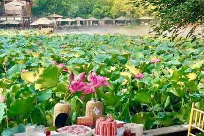 玛歌庄园·白鹤湖火锅公园(武胜店)