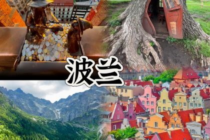 Hotel & Bungalows Mayaland - Buffet Restaurant