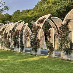 半两·咖啡书店·浮生是杯酒 User Photo