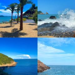 香椿树小吃(新城店) User Photo