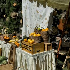 Do Do Do Porridge User Photo