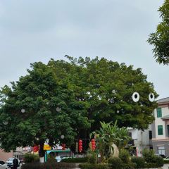 Mingji Food Shop User Photo