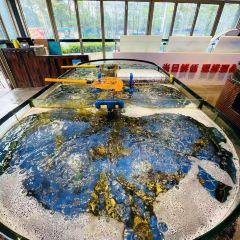 天天农家风味餐馆 User Photo