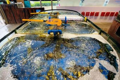 天天农家风味餐馆