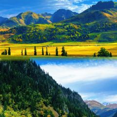 每天春羊羔烤肉店 User Photo