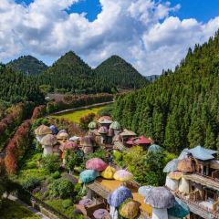 云上House User Photo