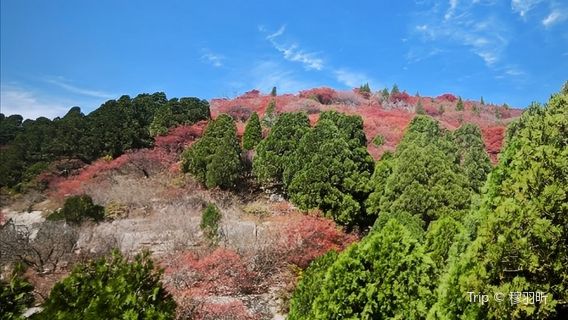 Shimenfang Scenic Area - Viewing Platform