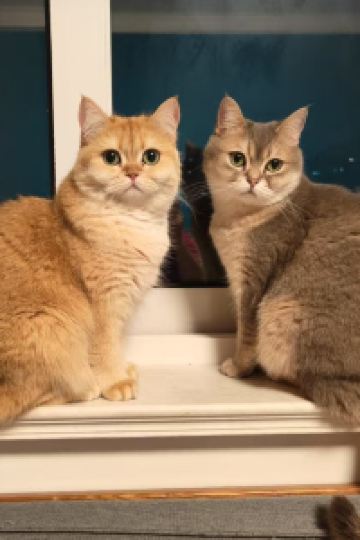 etubo Grand Hyatt Jeju優惠