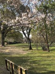 白潮公園