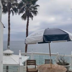 oak Laguna Beach張用戶圖片