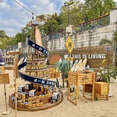 日落沙滩PARTY User Photo