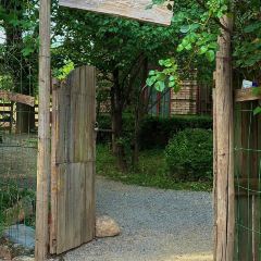 从前农庄 User Photo