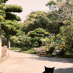 chill cafe User Photo