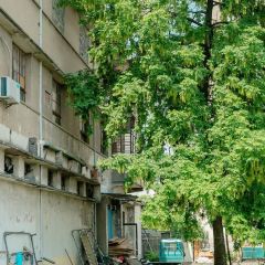 秀珍面馆·蟹面(海宁长安人民路店) User Photo