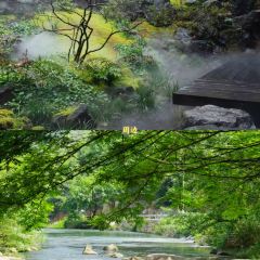 杭州明月松间·潜川酒店·最林泉 User Photo