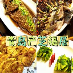 产芝渔家 User Photo