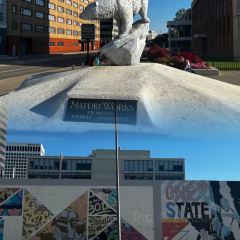 Bull In The Alley User Photo