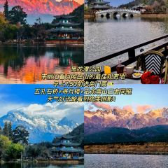 巷里私房菜馆 User Photo