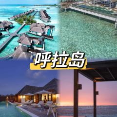 Baraabaru User Photo