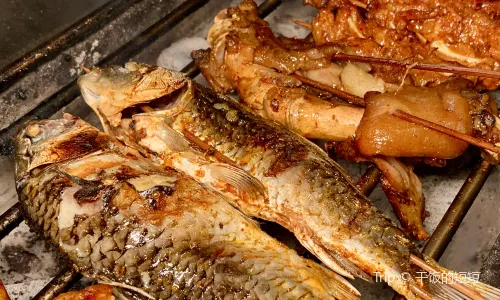 YANG PANG ZI SHAO KAO