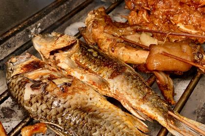 YANG PANG ZI SHAO KAO