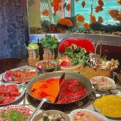 朱光玉火锅馆(绵阳万达店) User Photo