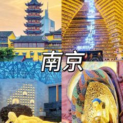 公园和尚豆干面 User Photo