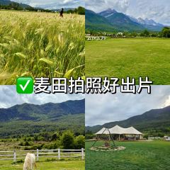 Lijiang Club Med Resorts Amaze Snow Mountain CampTent Restaurant User Photo