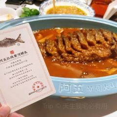 AWU YELLOW RIVER COMMON CARP User Photo