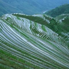 SA MA BA 여행 사진