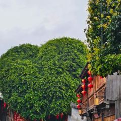 Da Fu Xing Yu Wan (Mei Shi Jie) User Photo