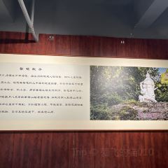 老雒阳面馆·水席(老君山店) User Photo
